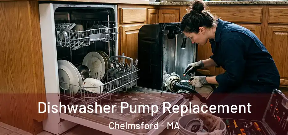 Dishwasher Pump Replacement Chelmsford - MA
