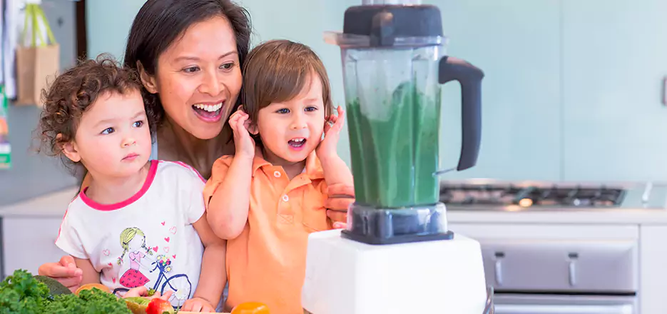 Juicer and Mixer Blender Repair in Chelmsford 