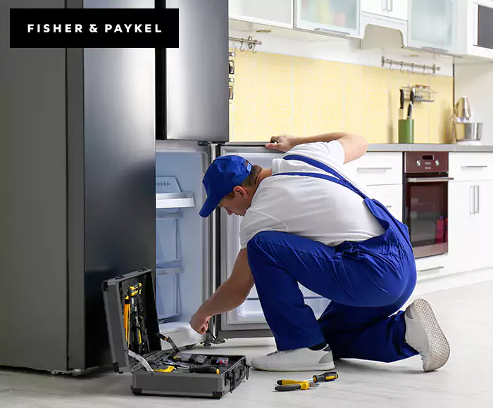 Top-Rated Fisher & Paykel Appliance Experts: Your Brand Specialist in Chelmsford, MA